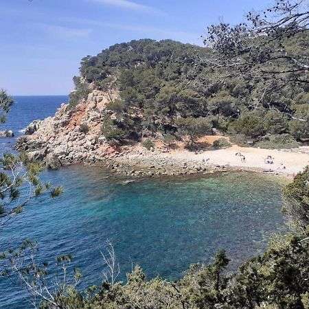 Bandol Maison De Campagne Esterno foto