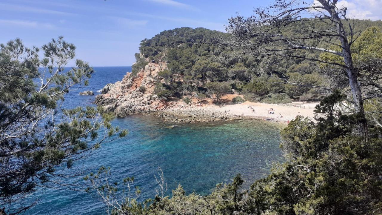 Bandol Maison De Campagne Esterno foto